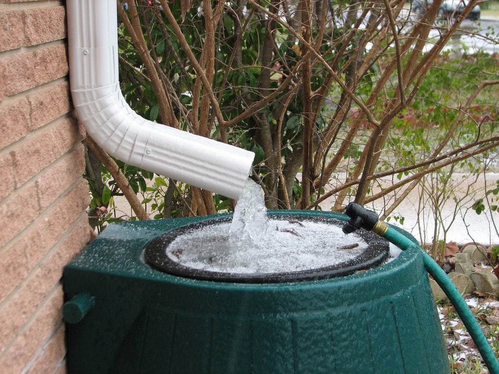 Правильный сбор и применение дождевой воды для полива растений поможет нам снизить нагрузку на центральный водопровод