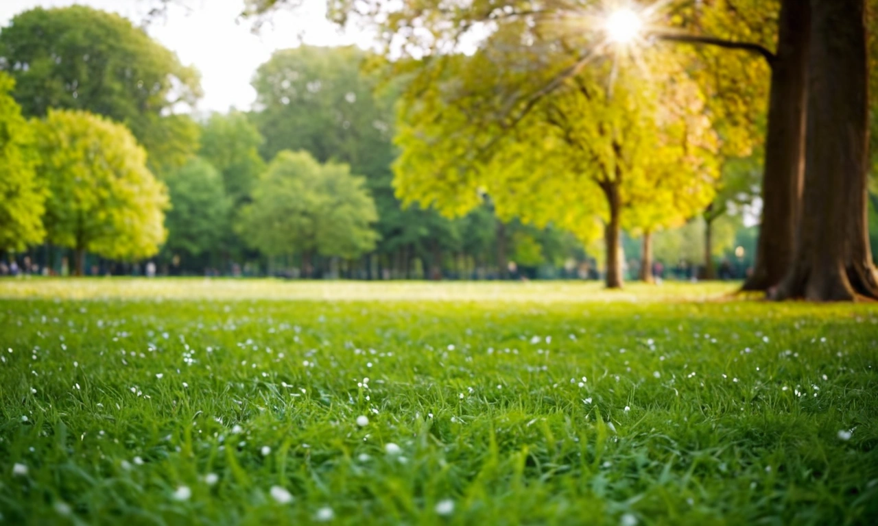 Использование простых форм и лаконичного дизайна